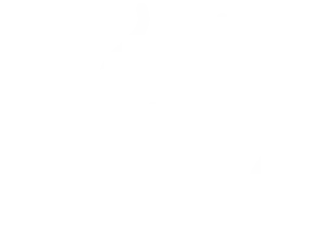 truzro-white-footer-logo